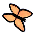 butterfly4