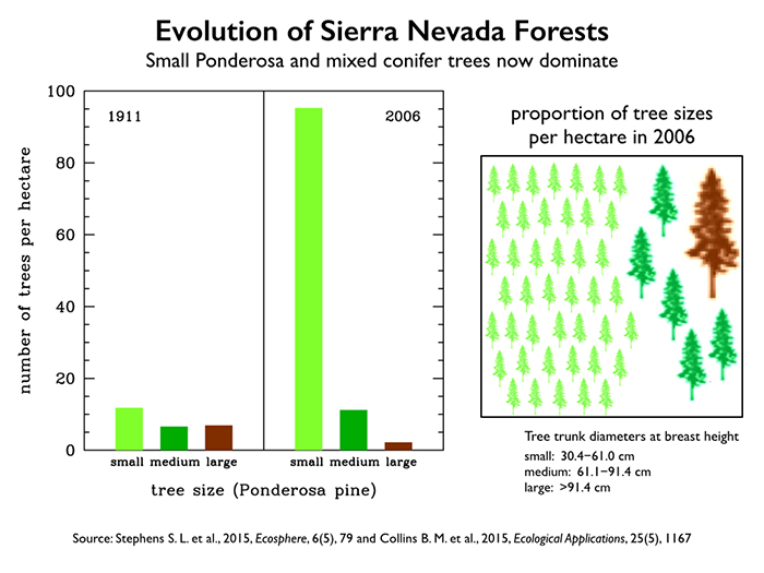 Fires infographic