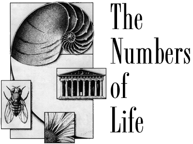 The Numbers of Life