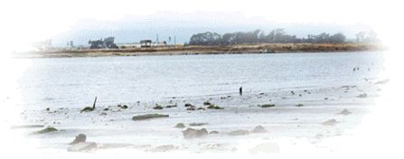 A PHOTO OF SALT MUD FLATS.